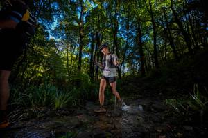 BIB: 
                            <button type="button" onclick="openModal(19240637)" class="btn btn-primary btn-sm float-right btn-popup" data-toggle="modal" data-target=".modal-high-quality">
                        <i class="fas fa-shopping-cart"></i> Add to Cart
                    </button>
                                            <button type="button" onclick="isThisMe(19240637, true)" class="btn btn-success btn-sm float-right btn-popup btn-isme hidden" data-toggle="tooltip" data-placement="bottom" title="นี่คือรูปของคุณใช่ไหม คลิกที่นี่เพื่อเอาเข้าอัลบั้ม">
                        <i class="fas fa-plus"></i> Add to album
                    </button>
                    <button type="button" onclick="isThisMe(19240637, false)" class="btn btn-warning btn-sm float-right btn-popup btn-isnotme hidden">
                        <i class="fas fa-ban"></i> Remove from album
                    </button>